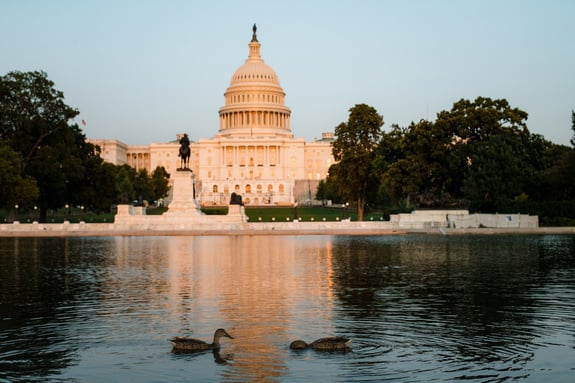 fec11a_8da43be96c034e3ebf3a5cee23b42368~mv2